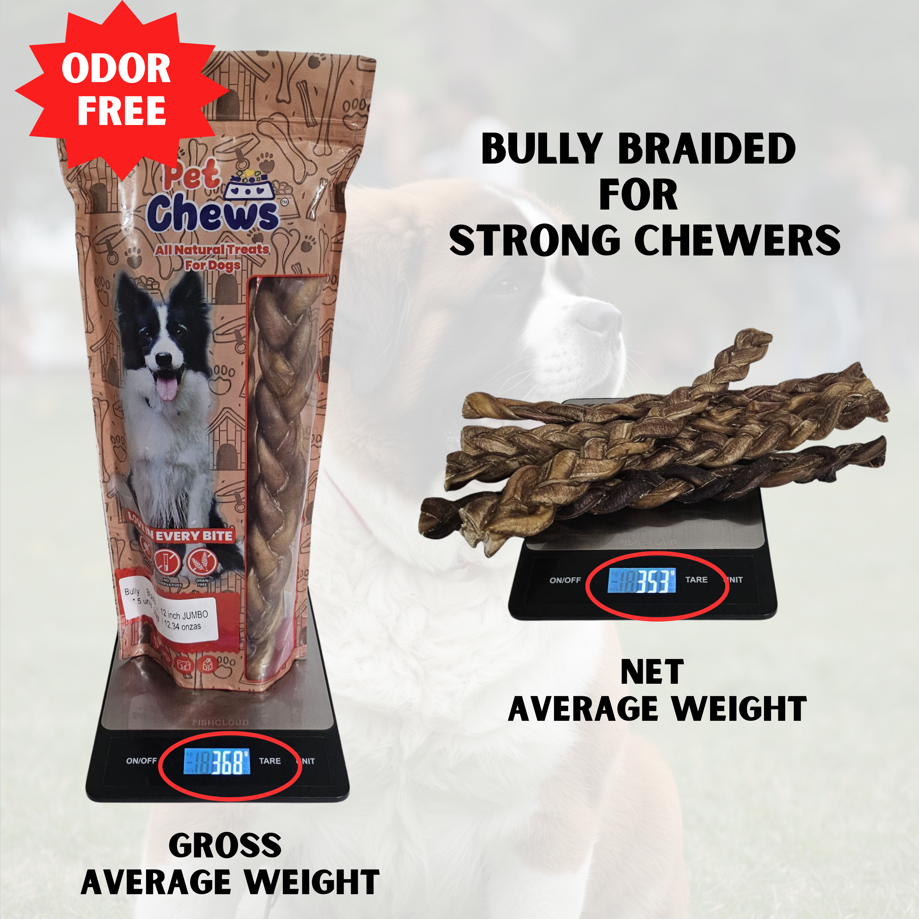 12" JUMBO BRAIDED Bully Sticks - 70g Each | Heavy Duty Chews (5 Pack)