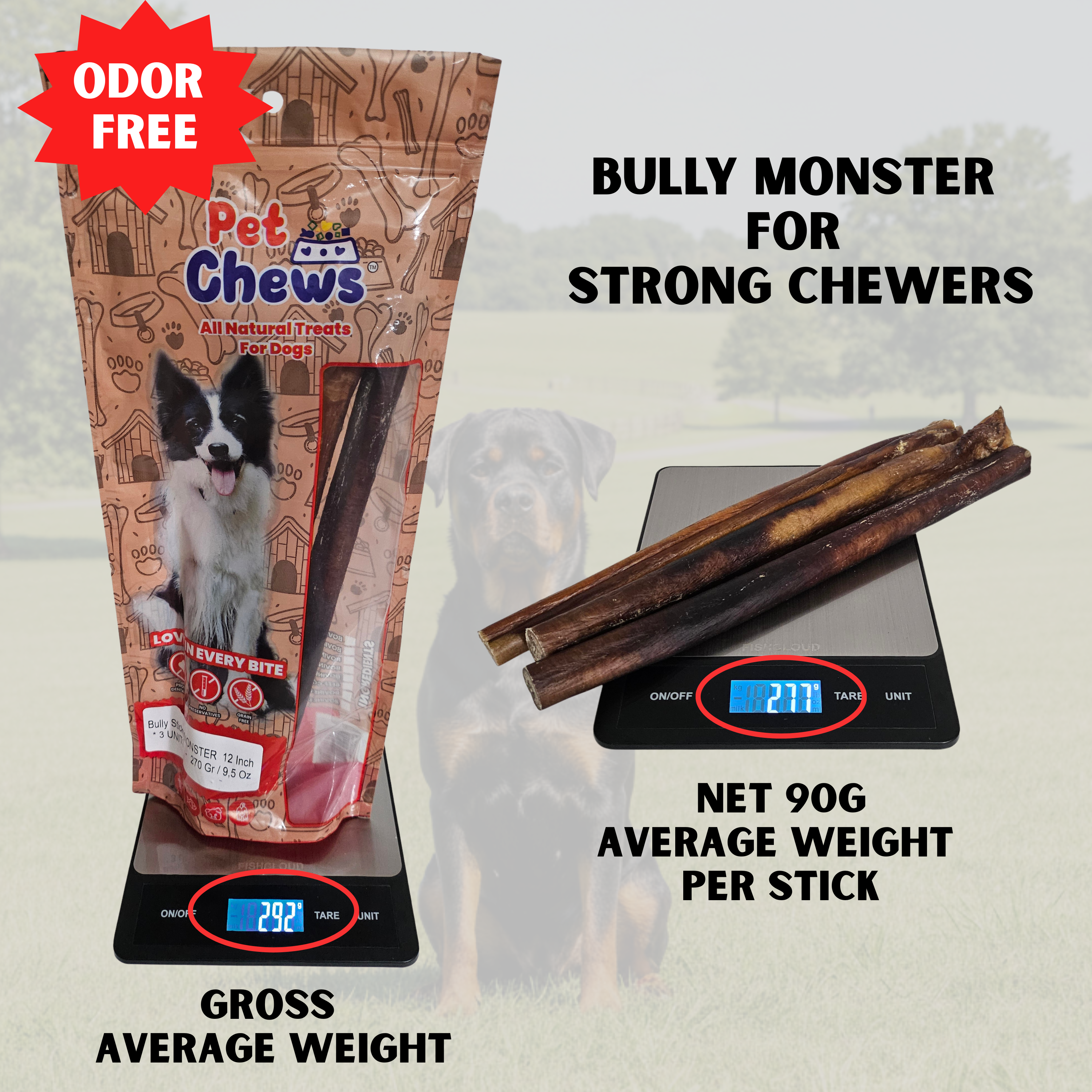 TWIN-PACK 12" MONSTER Bully Sticks - 90g Each | Heavy Duty Chews