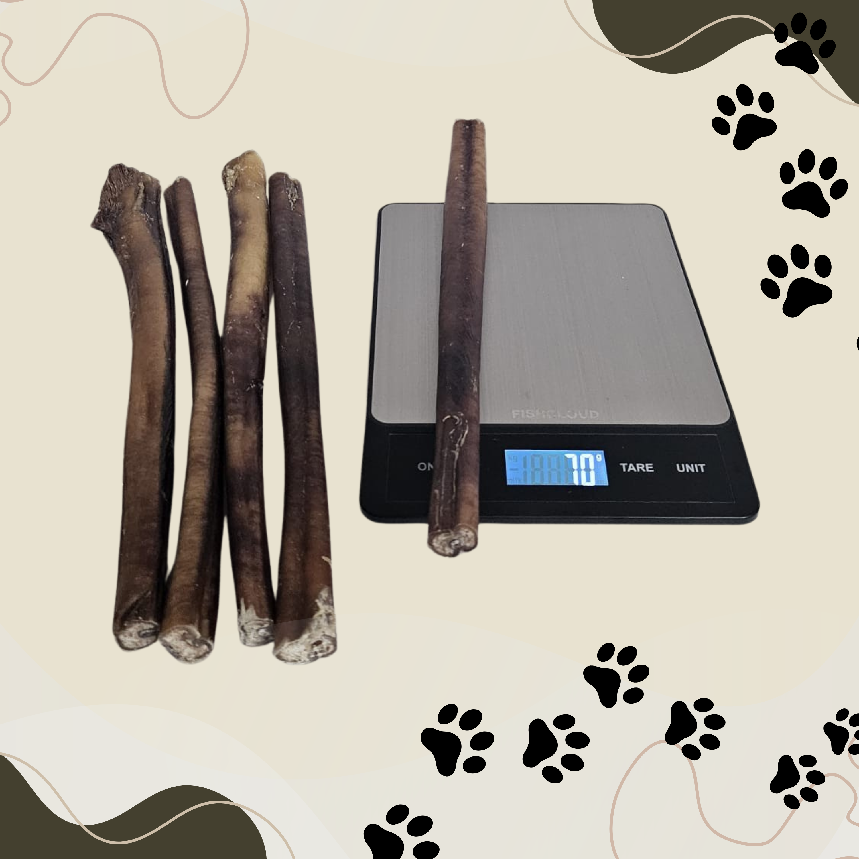 12" JUMBO Bully Sticks - 70g Each | Heavy Duty Chews (10 Pack)