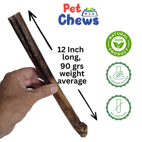 12" MONSTER Bully Sticks - 90g Each | Heavy Duty Chews (3 Pack)