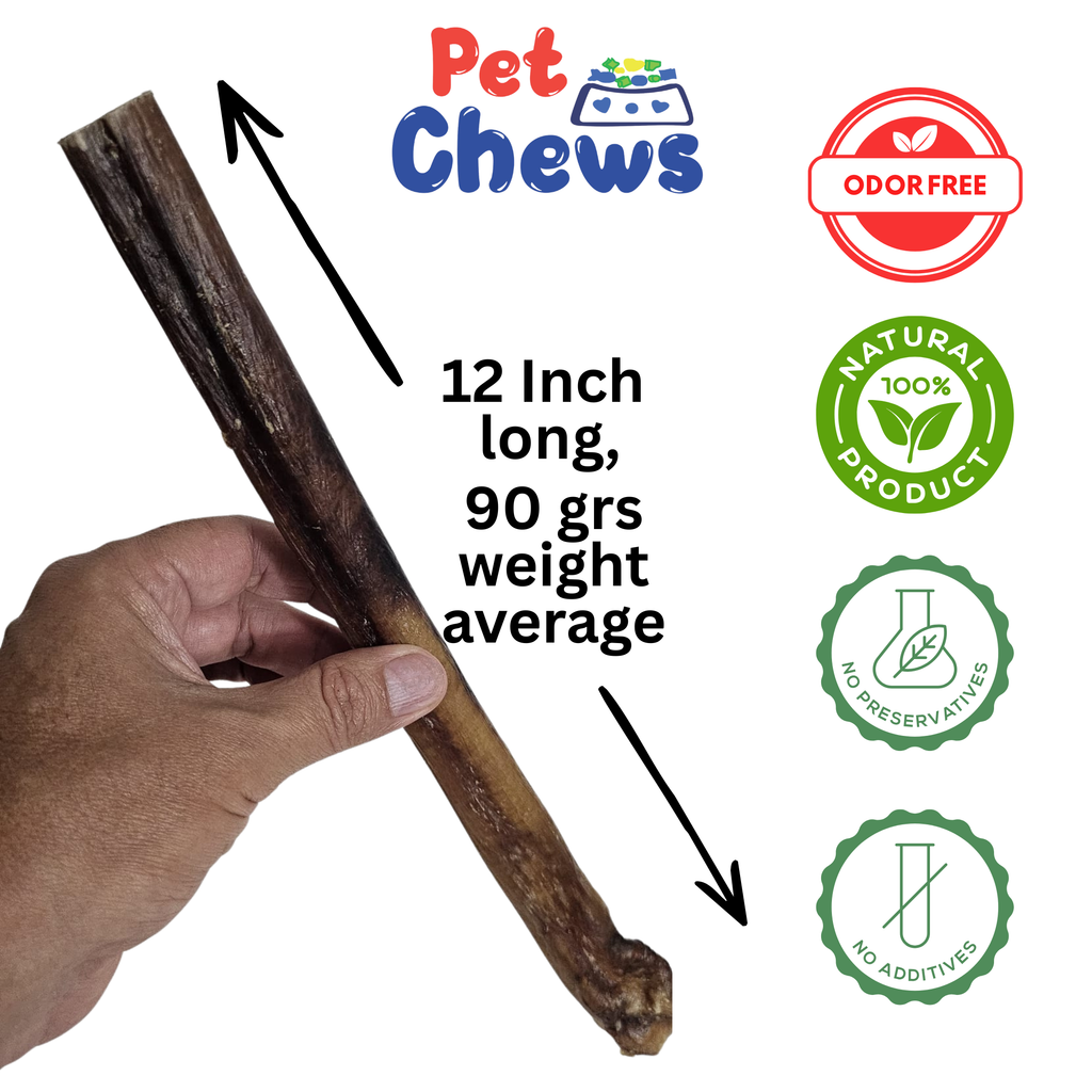 12" MONSTER Bully Sticks - 90g Each | Heavy Duty Chews (3 Pack)