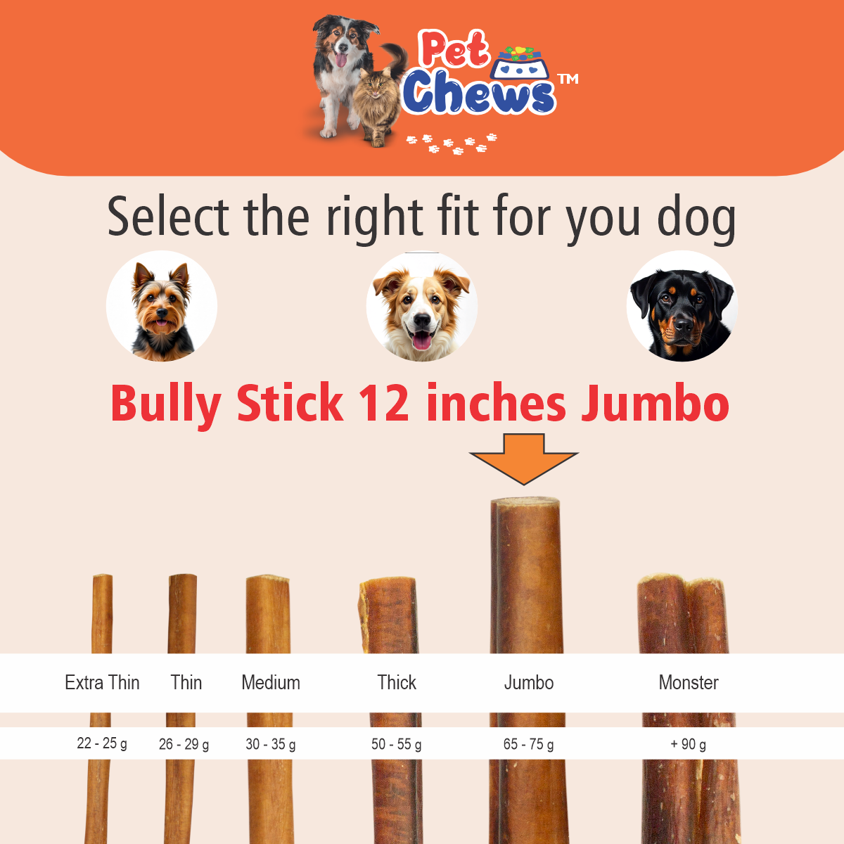 12" JUMBO Bully Sticks - 70g Each | Heavy Duty Chews (5 Pack)
