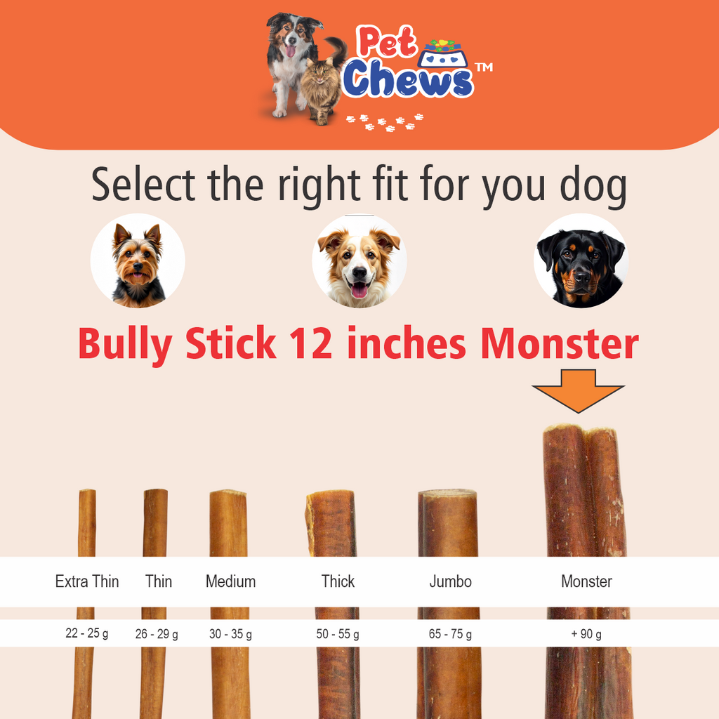 12" MONSTER Bully Sticks - 90g Each | Heavy Duty Chews (3 Pack)