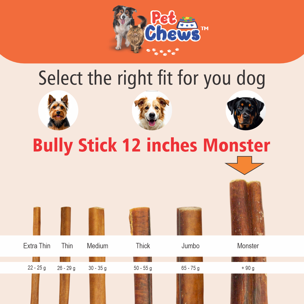 12" MONSTER Bully Sticks - 90g Each | Heavy Duty Chews (3 Pack)